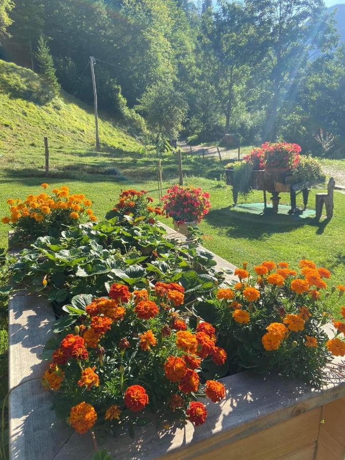 Villa Turisticna Kmetija Cercek Solčava Exterior foto